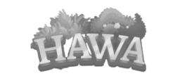 HAWA Game App